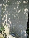 image of grave number 422447